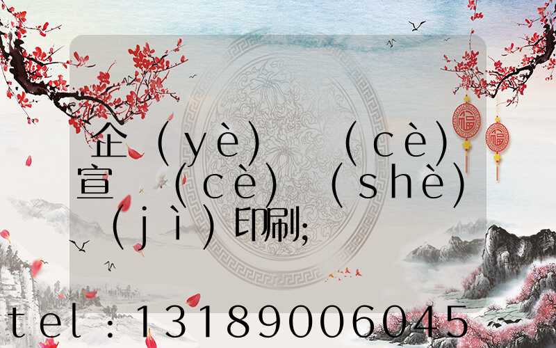 企業(yè)畫冊(cè)宣傳冊(cè)設(shè)計(jì)印刷