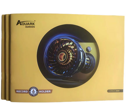 專業(yè)定制立體書制作廠家，為您鑄就卓越品質(zhì)